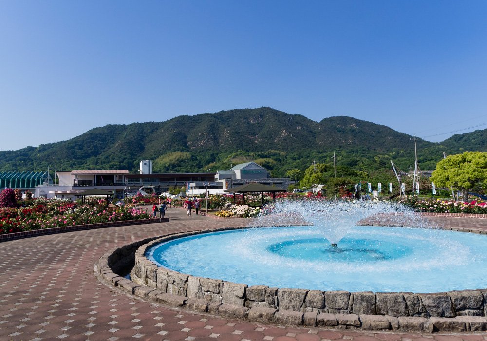 🌹 요시우미 장미 공원 (요시우미 바라 코엔) 이미지 8